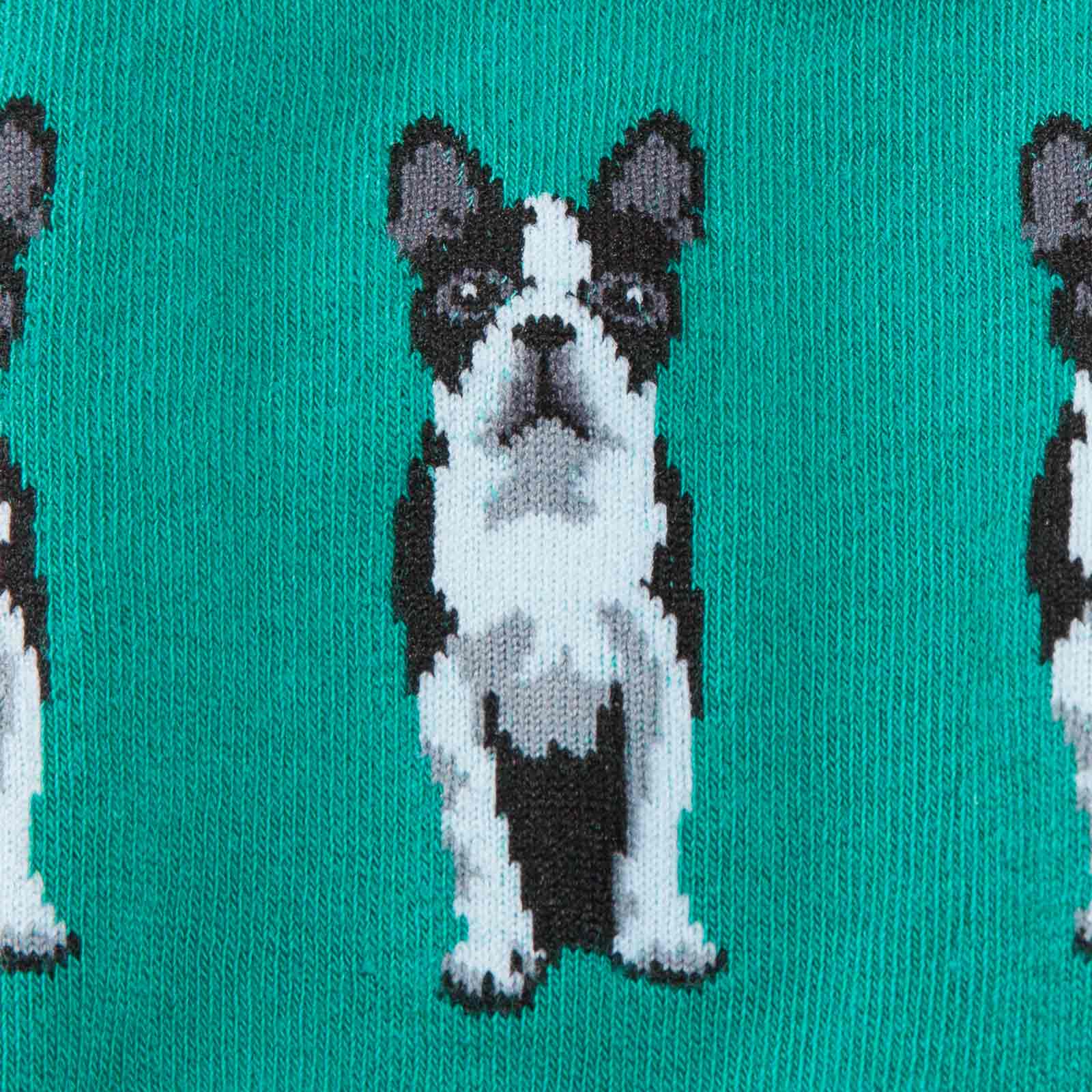 Meet the Sock: Boston Terrier