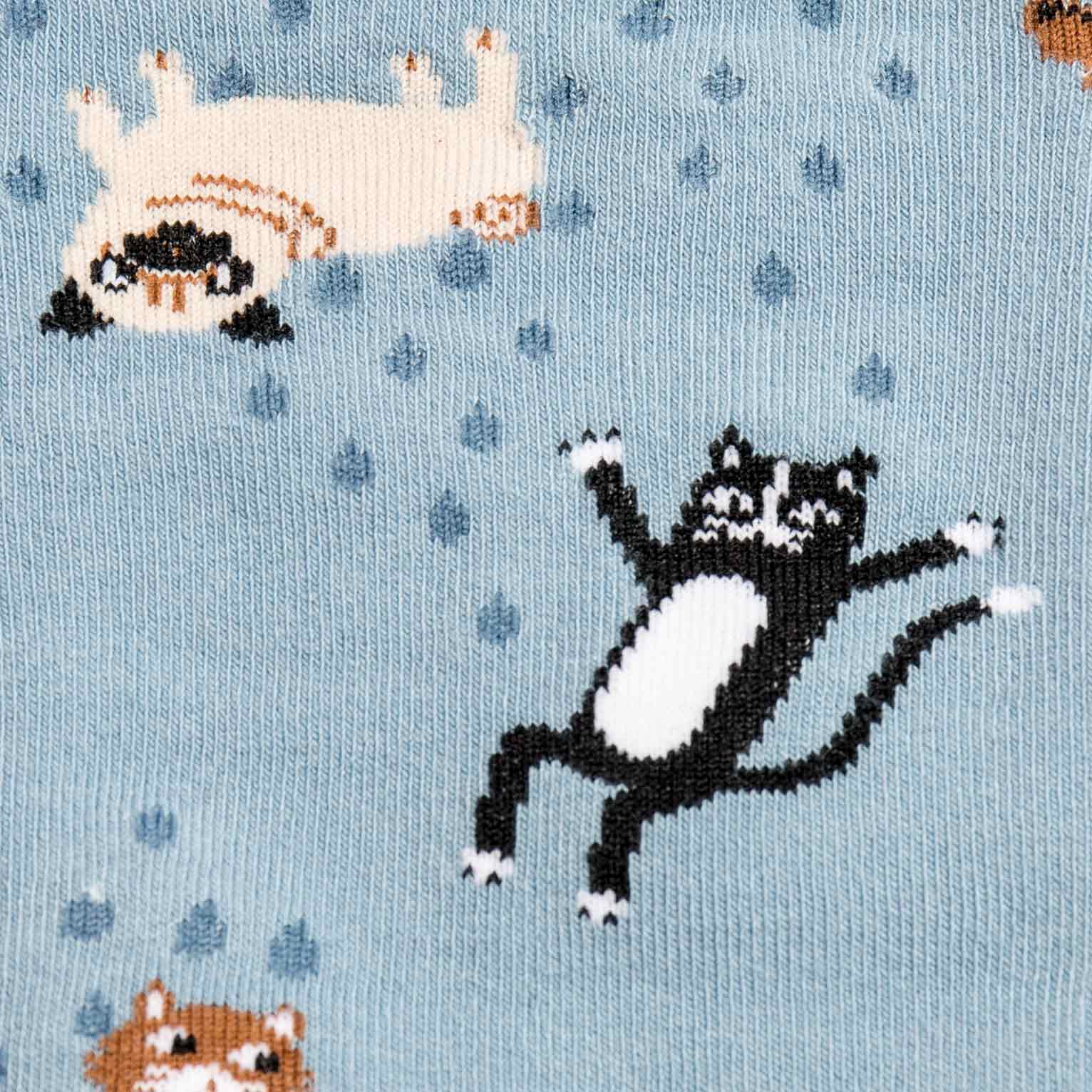 Meet the Sock: Raining Cats & Dogs