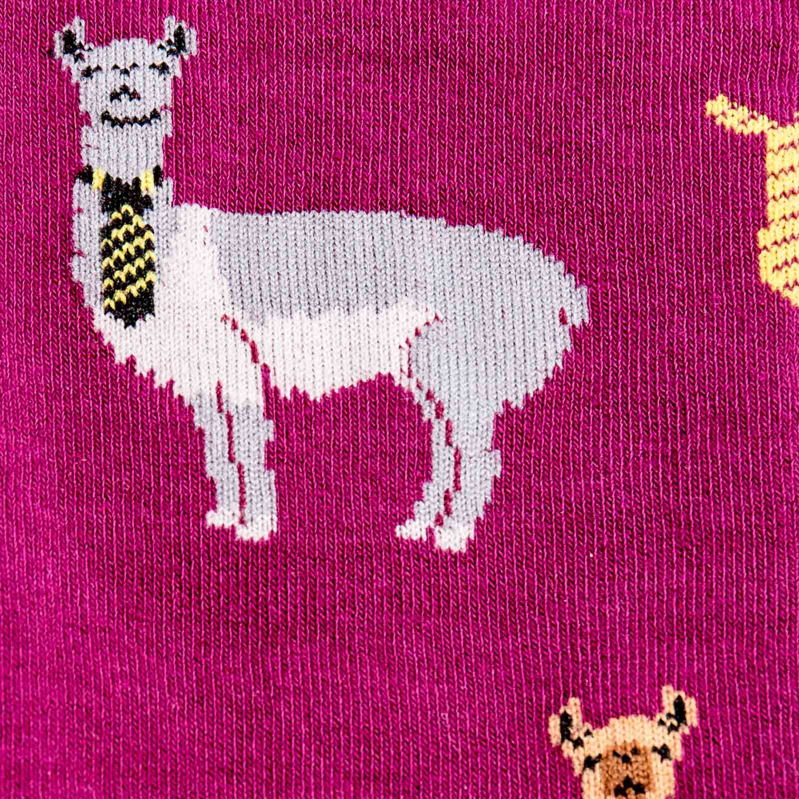 Meet the Sock: Llama Drama