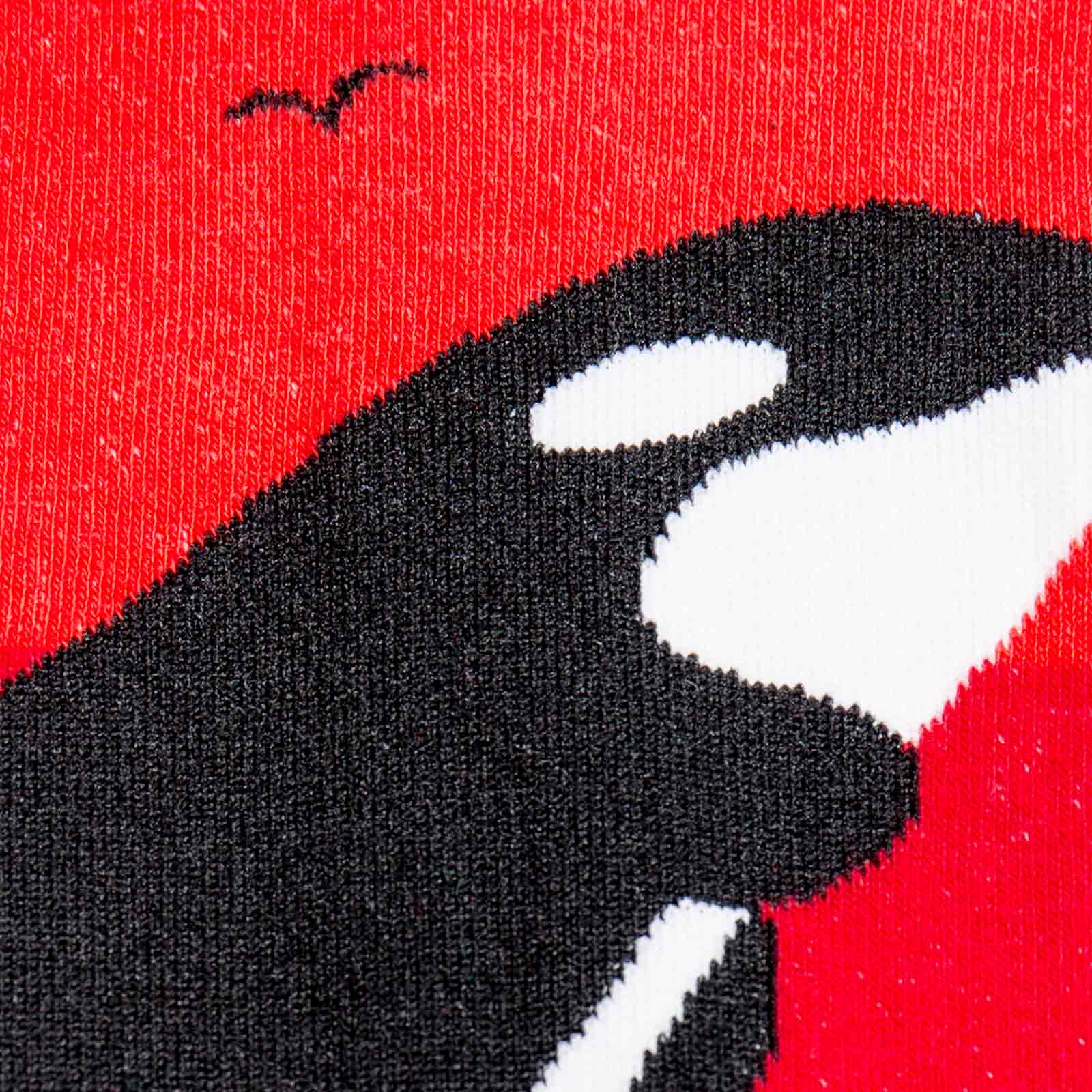 Meet the Sock: Orca