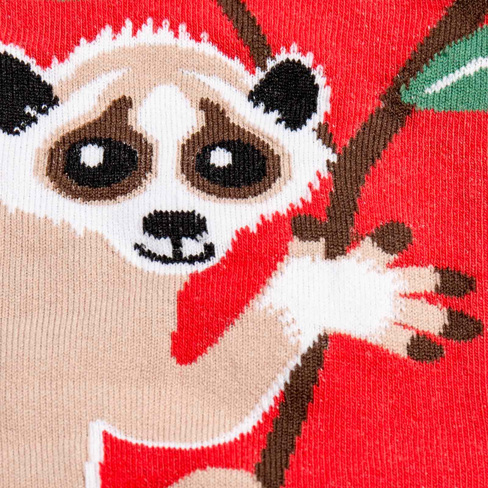 Meet the Sock: Slow Loris