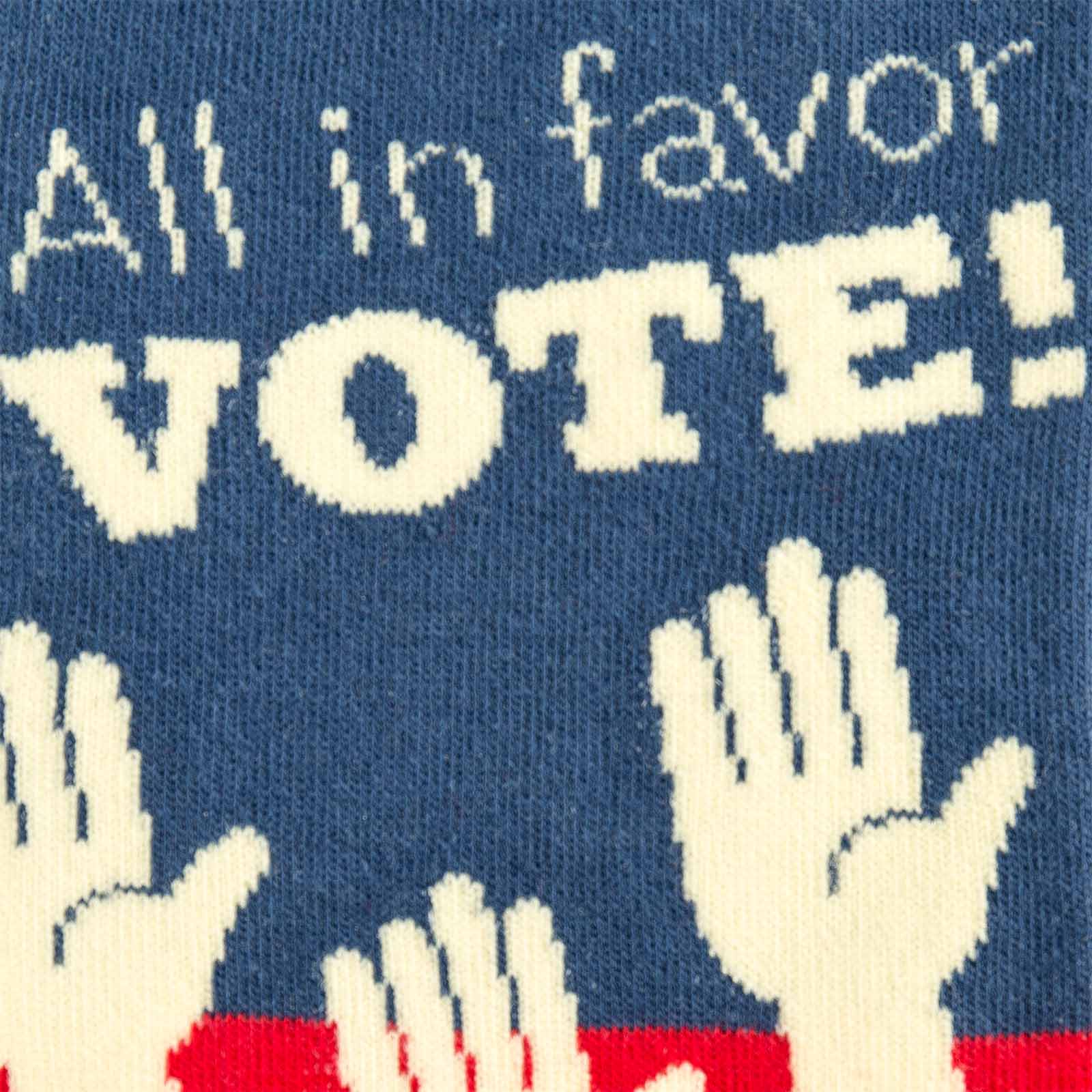 Meet the Sock: Sock the Vote