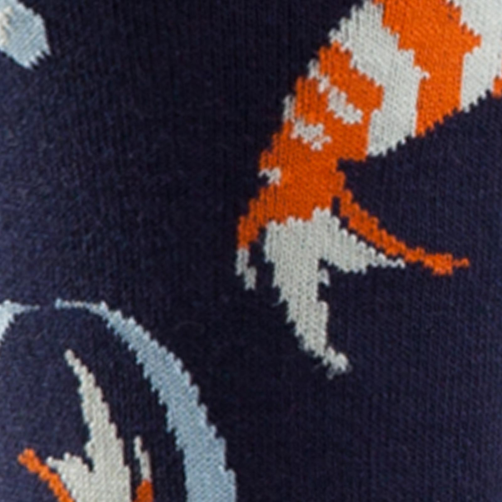 Meet the Socks: Koi Fish