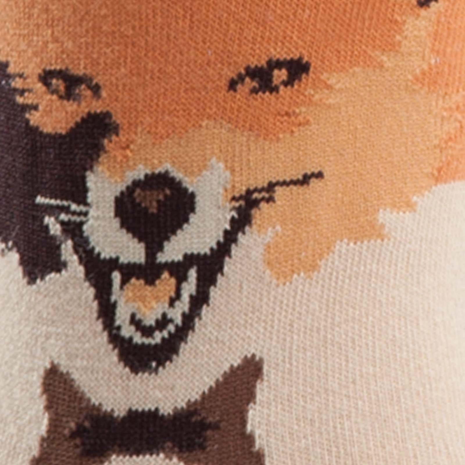 Meet the Sock: Mr. Fox