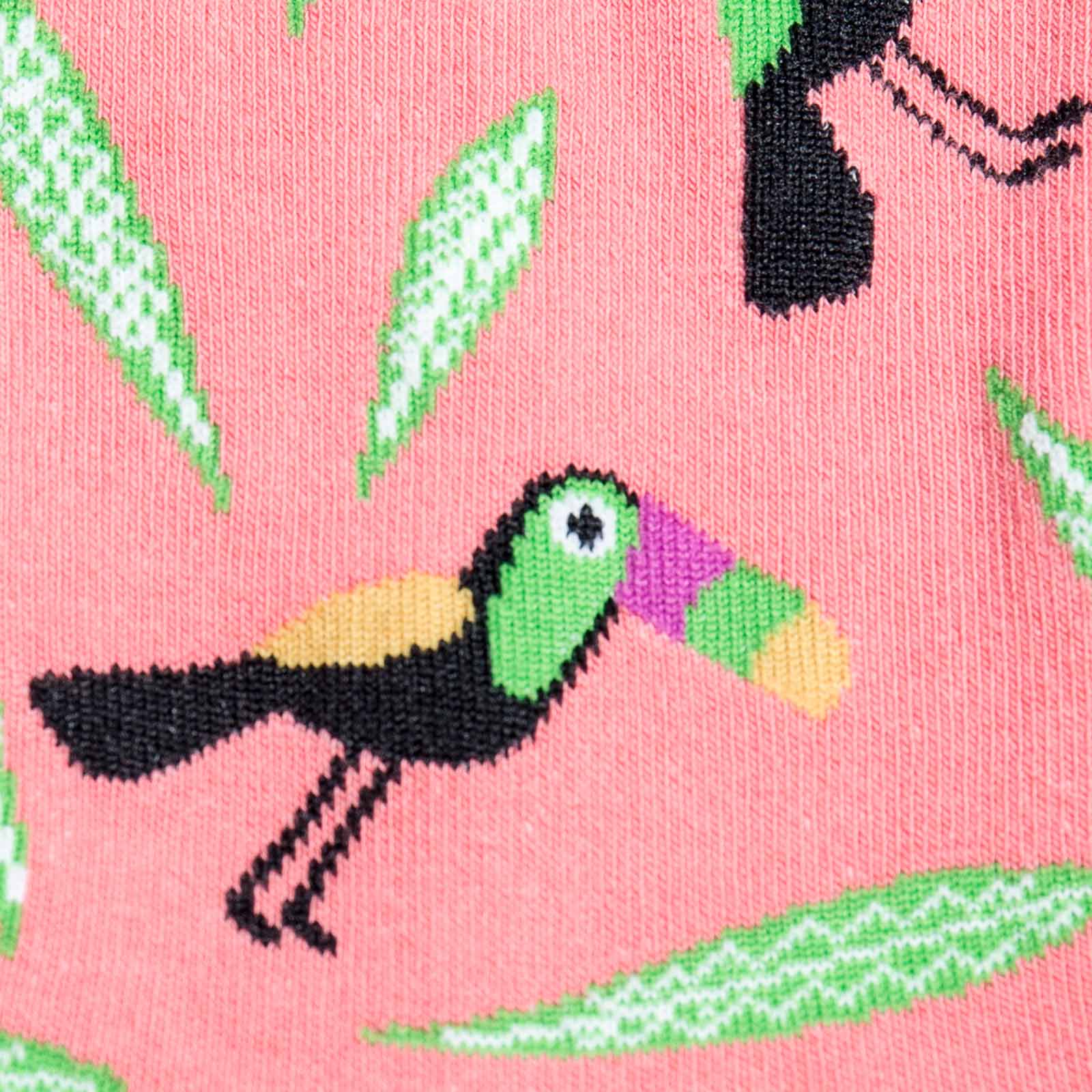 Meet the Sock: Toucan Do It